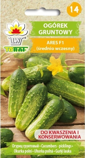 Picture of Toraf TORAF WARZYWA Ogórek Ares F1 nasiona 5g