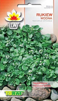 Изображение Toraf TORAF WARZYWA Rukiew wodna nasiona 0,2g