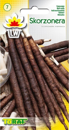 Picture of Toraf TORAF WARZYWA Skorzonera Duplex nasiona 3g
