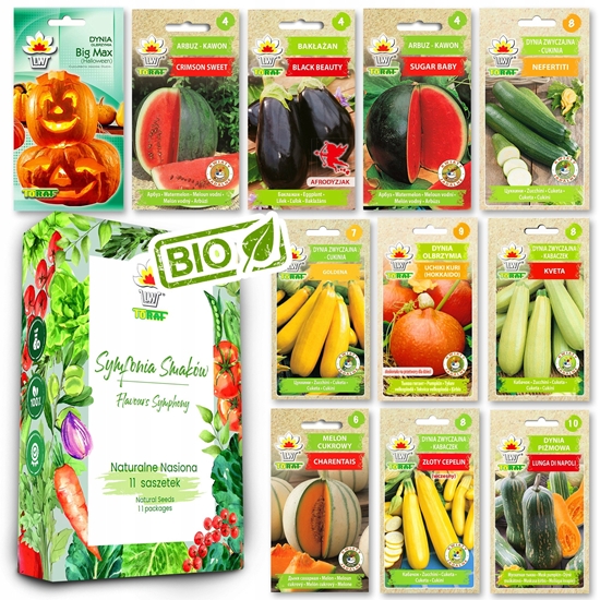 Picture of TORAF ZESTAW NASION - SET 1X3 2024 TORAF 36X1SZT