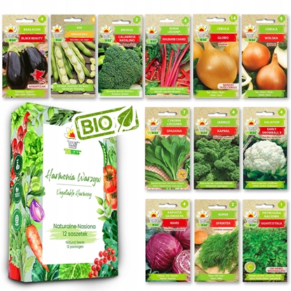 Picture of TORAF ZESTAW NASION HARMONIA WARZYW - 12 OPAKOWA