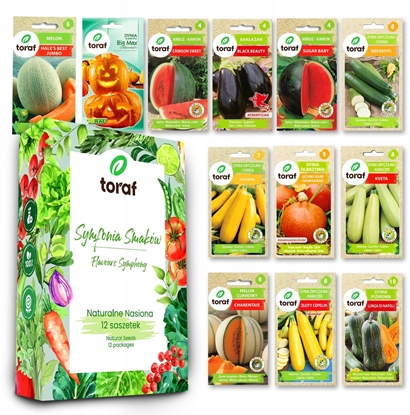 Picture of TORAF ZESTAW NASION SYMFONIA SMAKÓW - 12 OPAKOWA