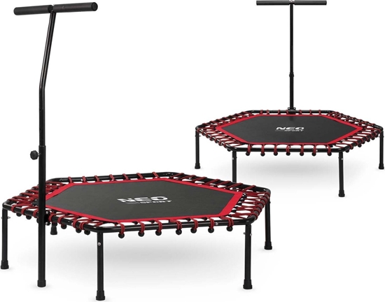 Изображение Trampolina Neo-Sport 11044 FT127 cm