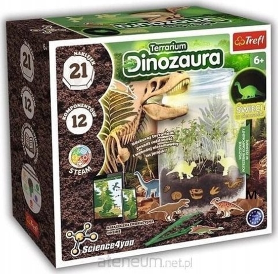 Picture of Trefl Science 4 You - Terrarium Dinozaura TREFL