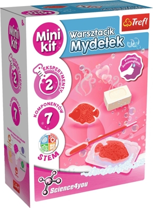 Picture of Trefl Warsztacik Mydeek Science 4 You