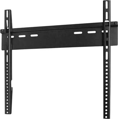 Picture of Trevi Universalus laikiklis TV42 TREVI ST230