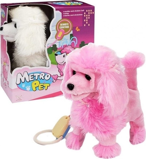 Picture of Trifox Pies pudel chodzcy na smyczy MIX