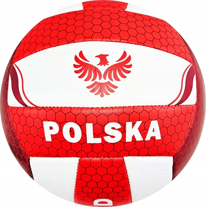 Изображение Trifox Pika siatkowa Polska A-0772 18310