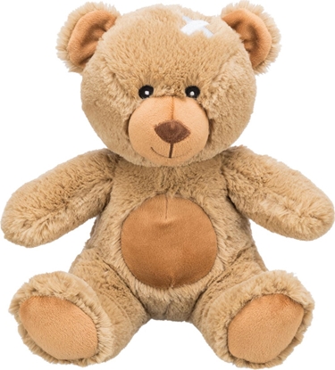 Attēls no Trixie Be Eco Mi Teddy, dla psa, plusz, 23 cm, z dwikiem