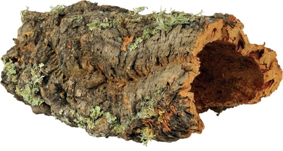 Picture of Trixie cianka korkowa 8 szt. 55 cm