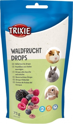 Изображение Trixie Dropsy dla gryzoni owoców lenych, 75g