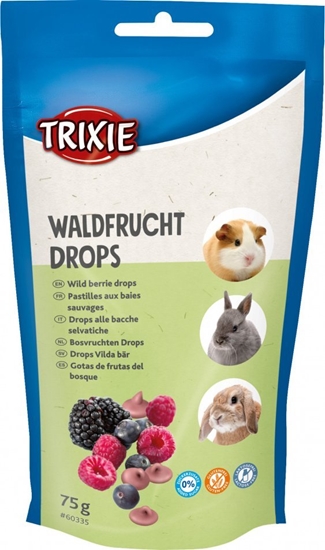 Изображение Trixie Dropsy dla gryzoni owoców lenych, 75g