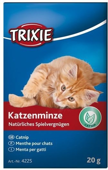 Picture of Trixie KOCIMITKA 20g W KARTONIKU