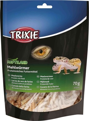 Picture of Trixie Larwy mcznika, suszone, 70 g