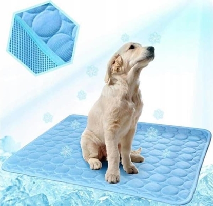 Attēls no Trixie Paw Love - Mata chodzca dla zwierzt (50 x 90 cm)