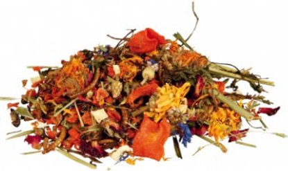 Attēls no Trixie Pokarm dla agamy brodatej mix 100 g (TX-76265)