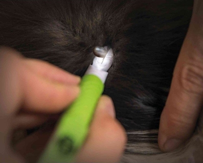 Изображение Trixie PRZYRZD DO USUWANIA KLESZCZY Z LAMPK LED 14cm