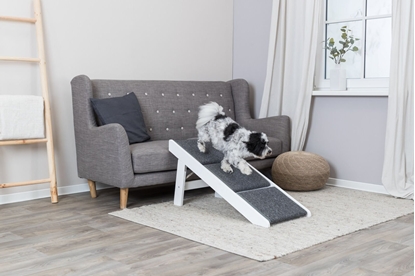Attēls no Trixie Schody/rampa, dla psa/kota, biae, MDF, 44 x 46 x 106 cm, obite wykadzin