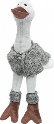 Picture of Trixie Stru, 53 cm, z dwikiem