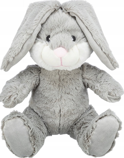 Picture of Trixie TRIXIE Be Eco Hase Evan, Dog, Plush toy, Grey, Plush, 250 mm