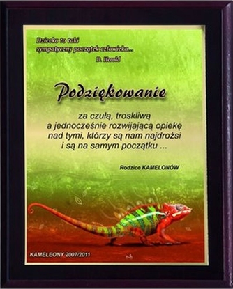 Изображение Tryumf Dyplom Z Tworzywa Sztucznego Z Laminatem Colour Touch