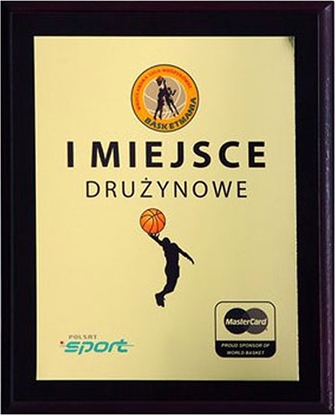 Изображение Tryumf Podkad z tworzywa sztucznego 200x150 kolor brz EX152
