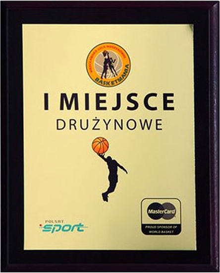 Изображение Tryumf Podkad z tworzywa sztucznego 200x150 kolor brz EX152