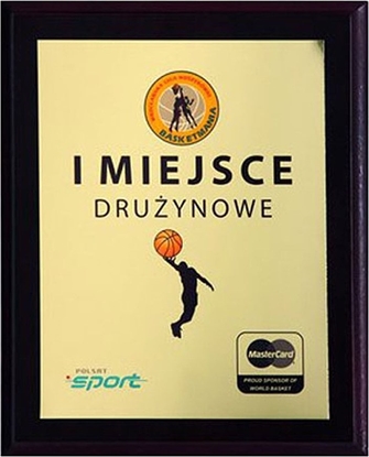 Изображение Tryumf Podkad z tworzywa sztucznego 230x180 kolor brz EX153