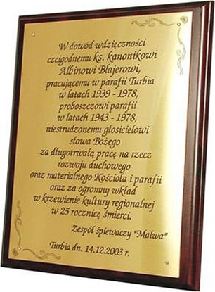 Изображение Tryumf Podkad z tworzywa sztucznego165x115 kolor brz EX150