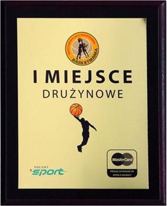Изображение Tryumf Podkad z tworzywa sztucznego255x200 kolor brz EX154