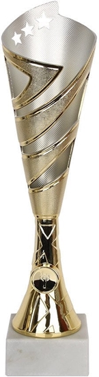 Picture of Tryumf Puchar 8382