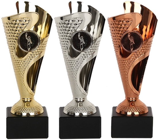 Picture of Tryumf Puchar 9281