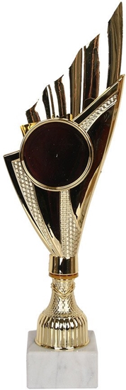 Picture of Tryumf Puchar 9282