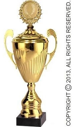 Attēls no Tryumf Puchar metalowy zoty z przykrywk 7098/BP