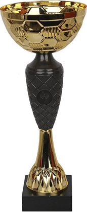 Attēls no Tryumf Puchar Tryumf 1854