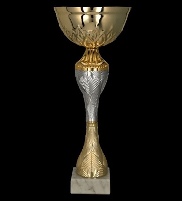 Attēls no Tryumf Puchar Tryumf 9266