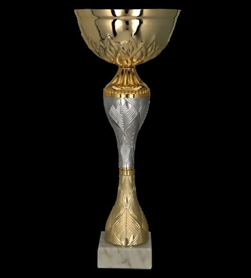 Picture of Tryumf Puchar Tryumf 9266