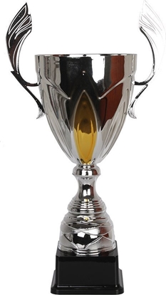 Изображение Tryumf Puchar Tryumf NT755