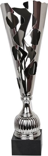 Изображение Tryumf Puchar Tryumf NT935