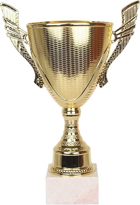 Изображение Tryumf Puchar Tryumf W1680