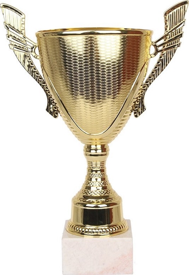 Изображение Tryumf Puchar Tryumf W1680