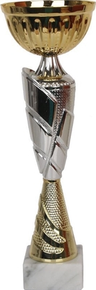 Изображение Tryumf Puchar Tryumf W1775