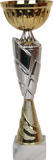 Изображение Tryumf Puchar Tryumf W1775