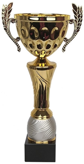 Изображение Tryumf Puchar Tryumf W1888