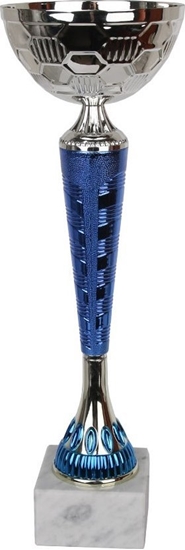 Изображение Tryumf Puchar Tryumf W1897