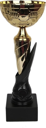 Изображение Tryumf Puchar Tryumf W1898