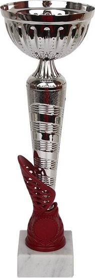 Изображение Tryumf Puchar Tryumf W1916B