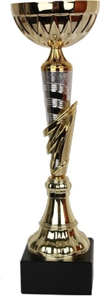 Изображение Tryumf Puchar Tryumf W1991