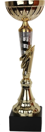 Изображение Tryumf Puchar Tryumf W1991