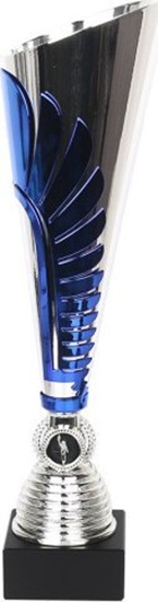 Изображение Tryumf Puchar Tryumf W2048